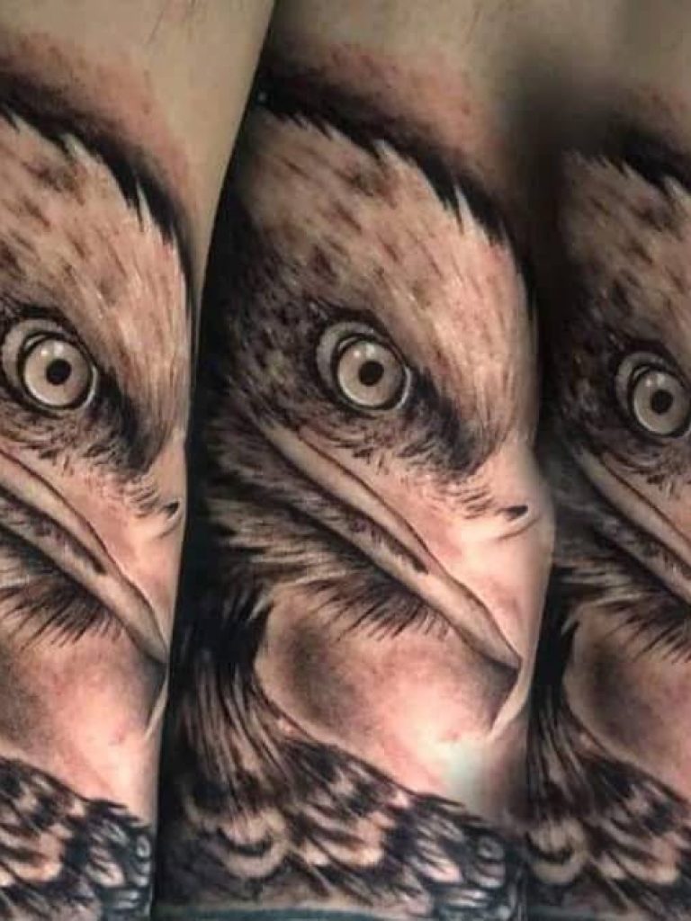Apocalipsis-Tattoos-Animales-Aguila-027