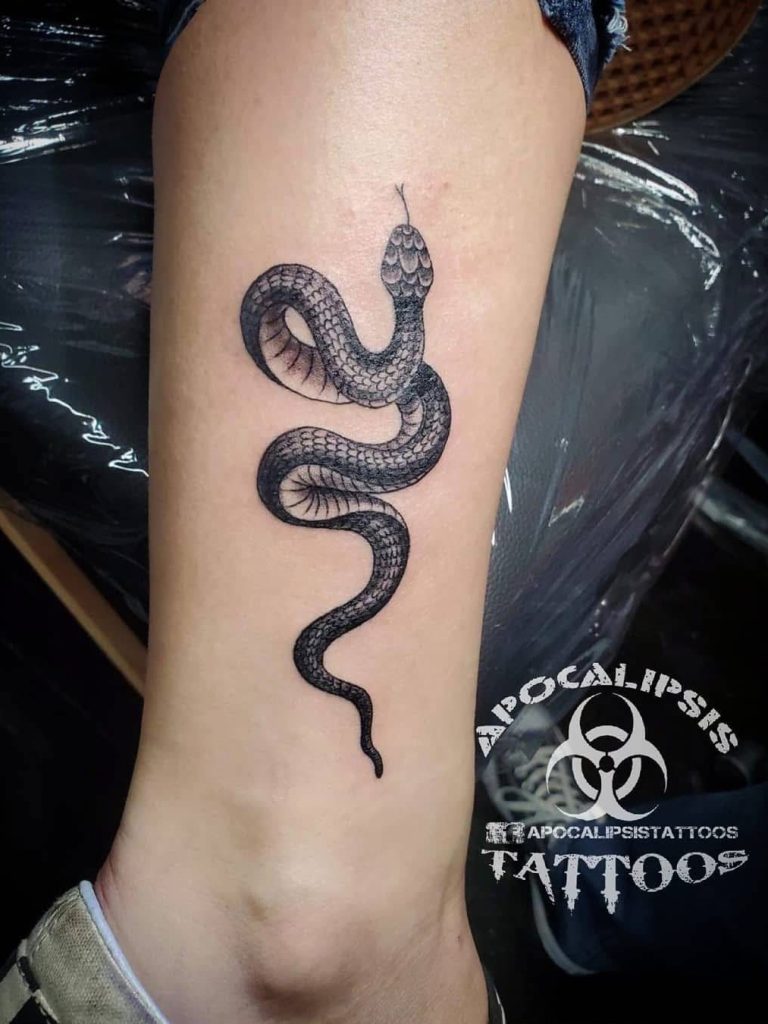 Apocalipsis-Tattoos-Animales-Serpiente-028